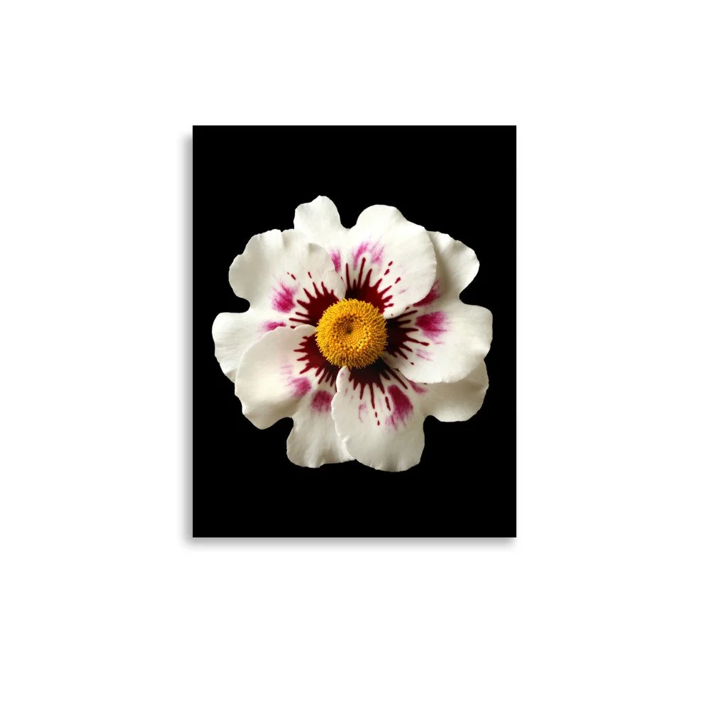 enhanced-matte-paper-poster-(in)-11x14-front-6a777b694e1c3.jpg