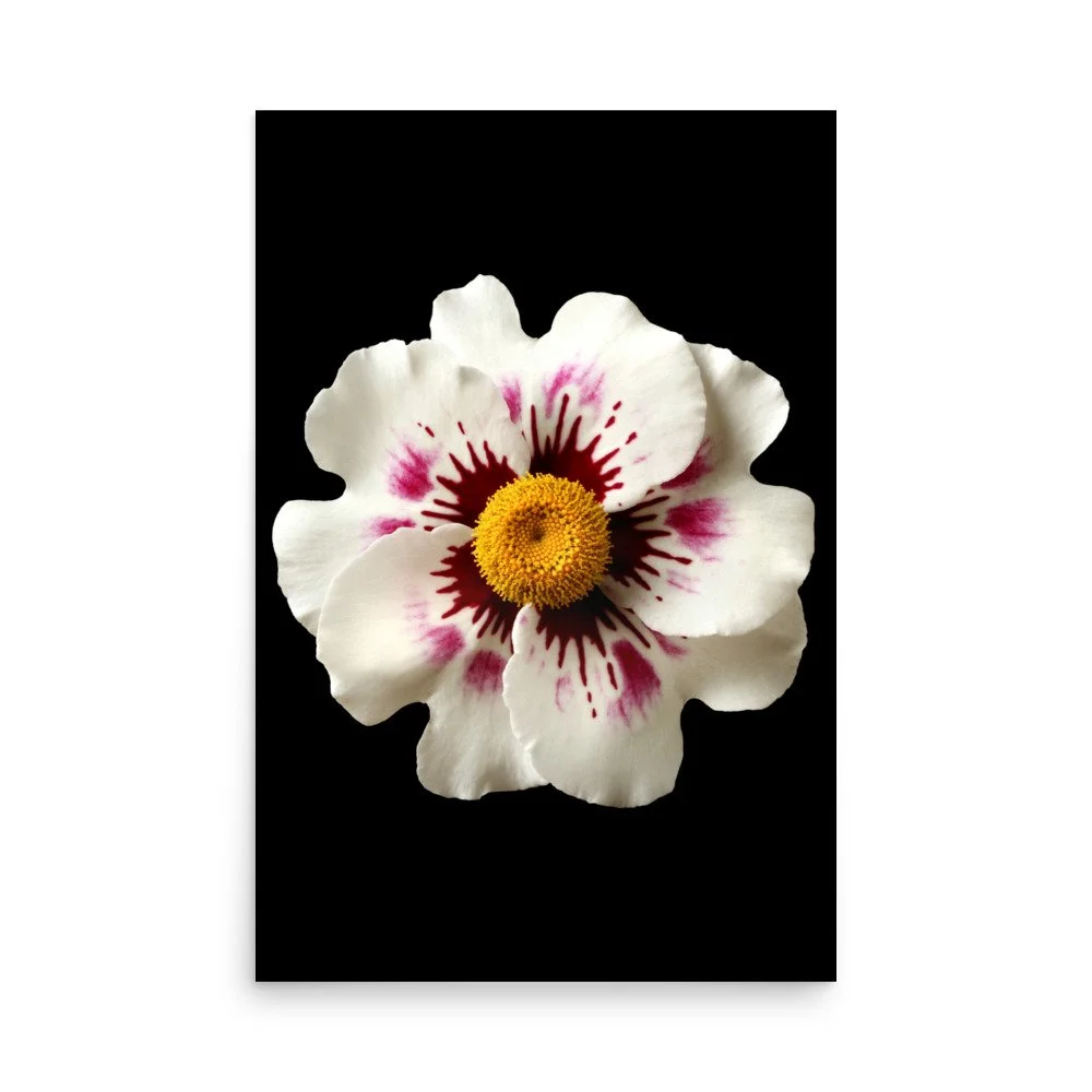 enhanced-matte-paper-poster-(in)-24x36-front-6a777b694e290.jpg