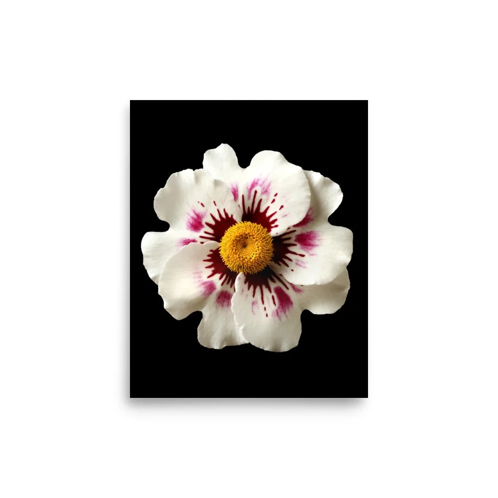 enhanced-matte-paper-poster-(in)-8x10-front-6a777b694e39b.jpg