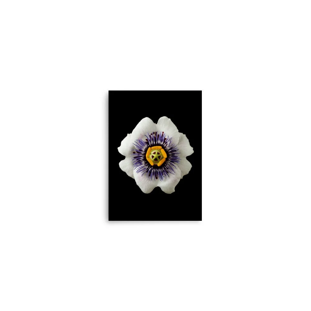 enhanced-matte-paper-poster-(in)-5x7-front-6a77826d7aa00.jpg