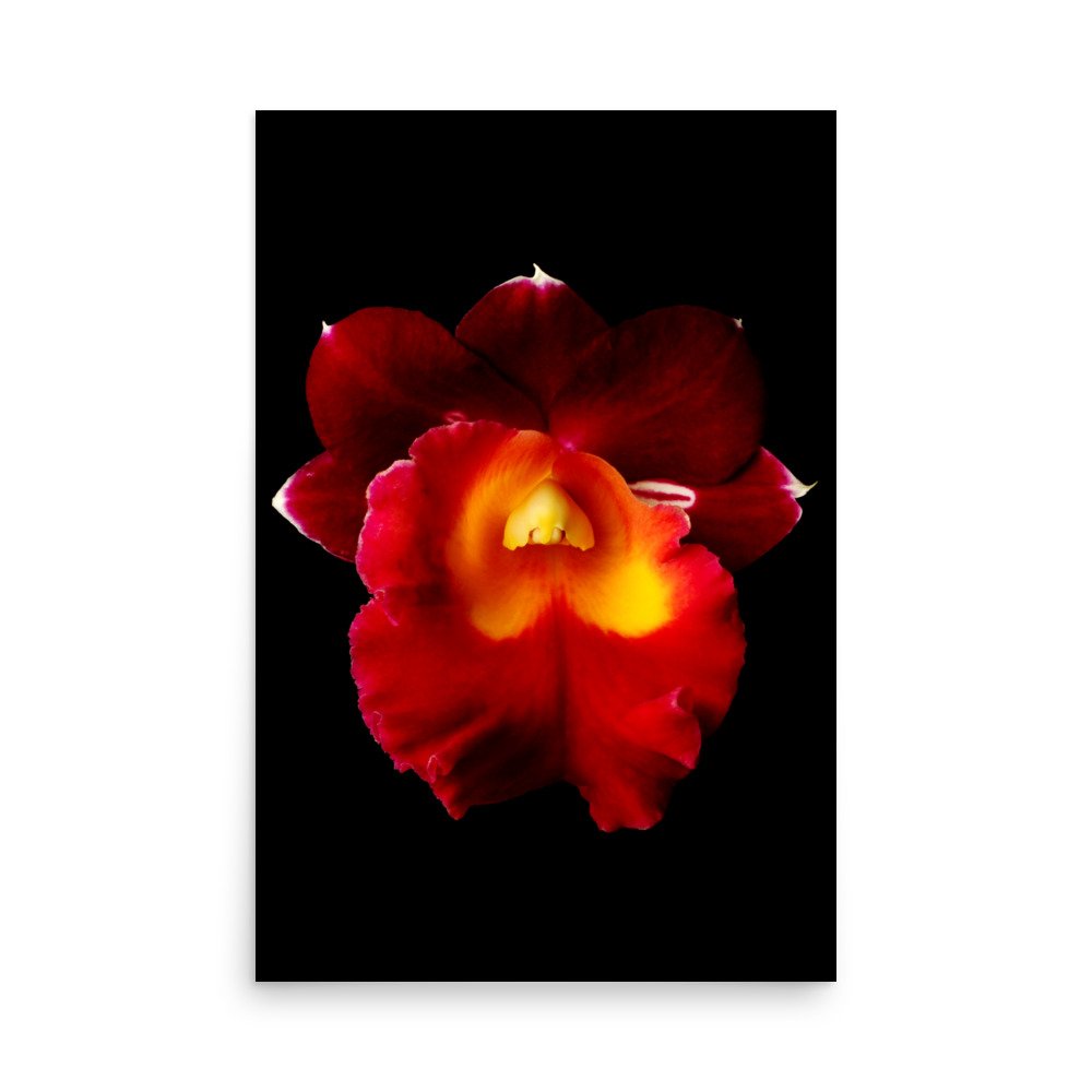 enhanced-matte-paper-poster-(in)-24x36-front-6a77fe2b06005.jpg