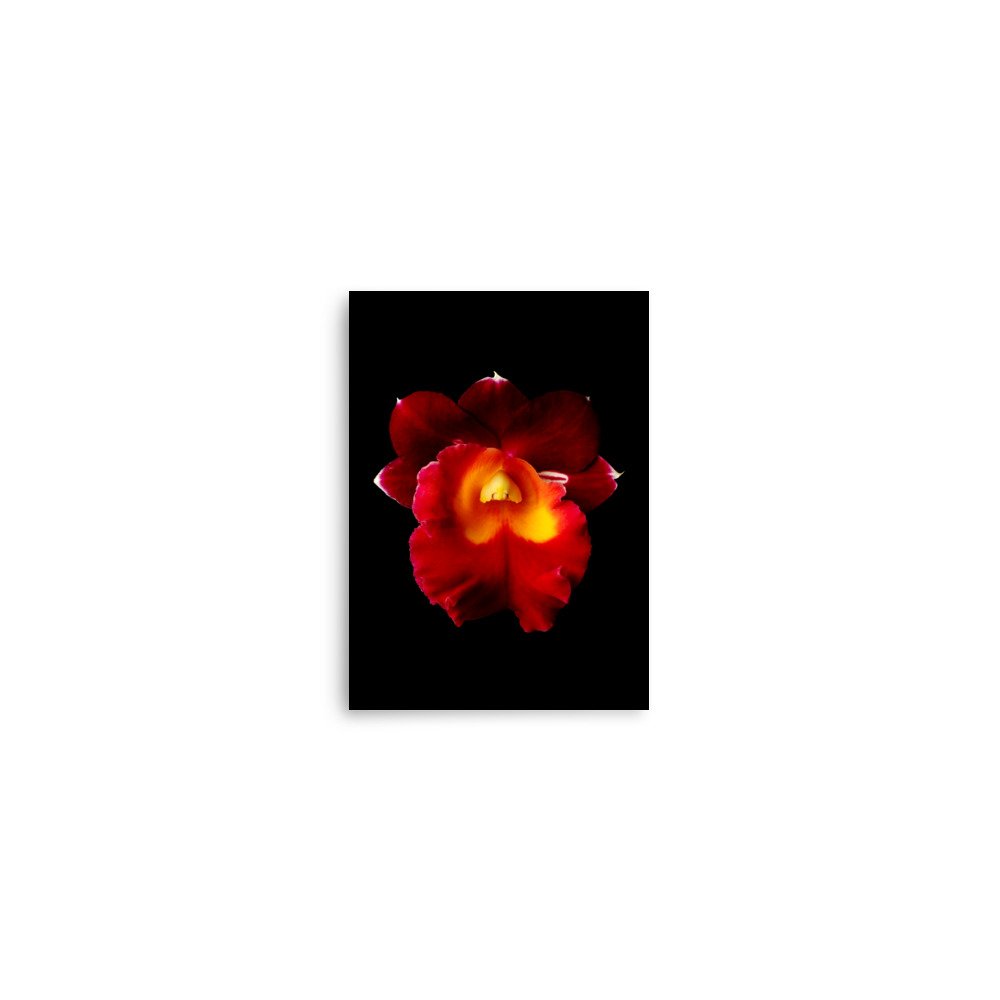 enhanced-matte-paper-poster-(in)-5x7-front-6a77fe2b0606b.jpg
