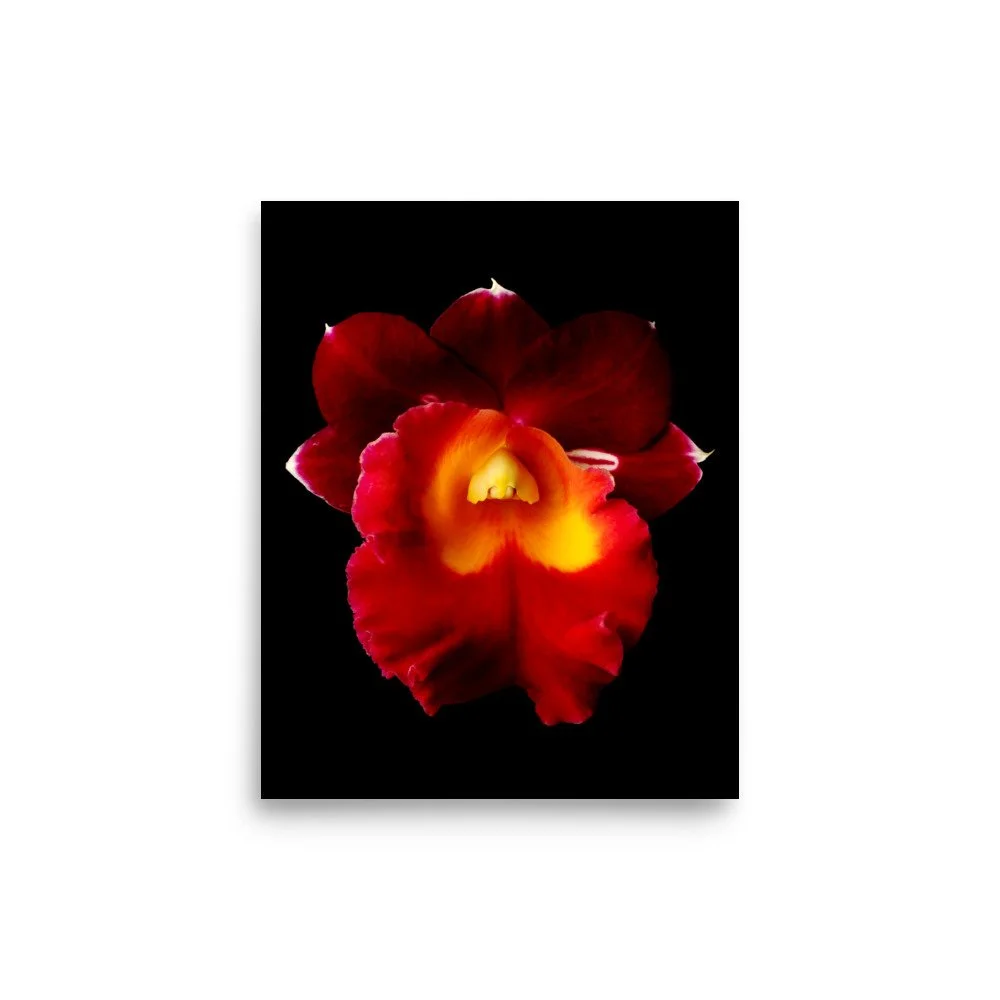 enhanced-matte-paper-poster-(in)-8x10-front-6a77fe2b060a0.jpg