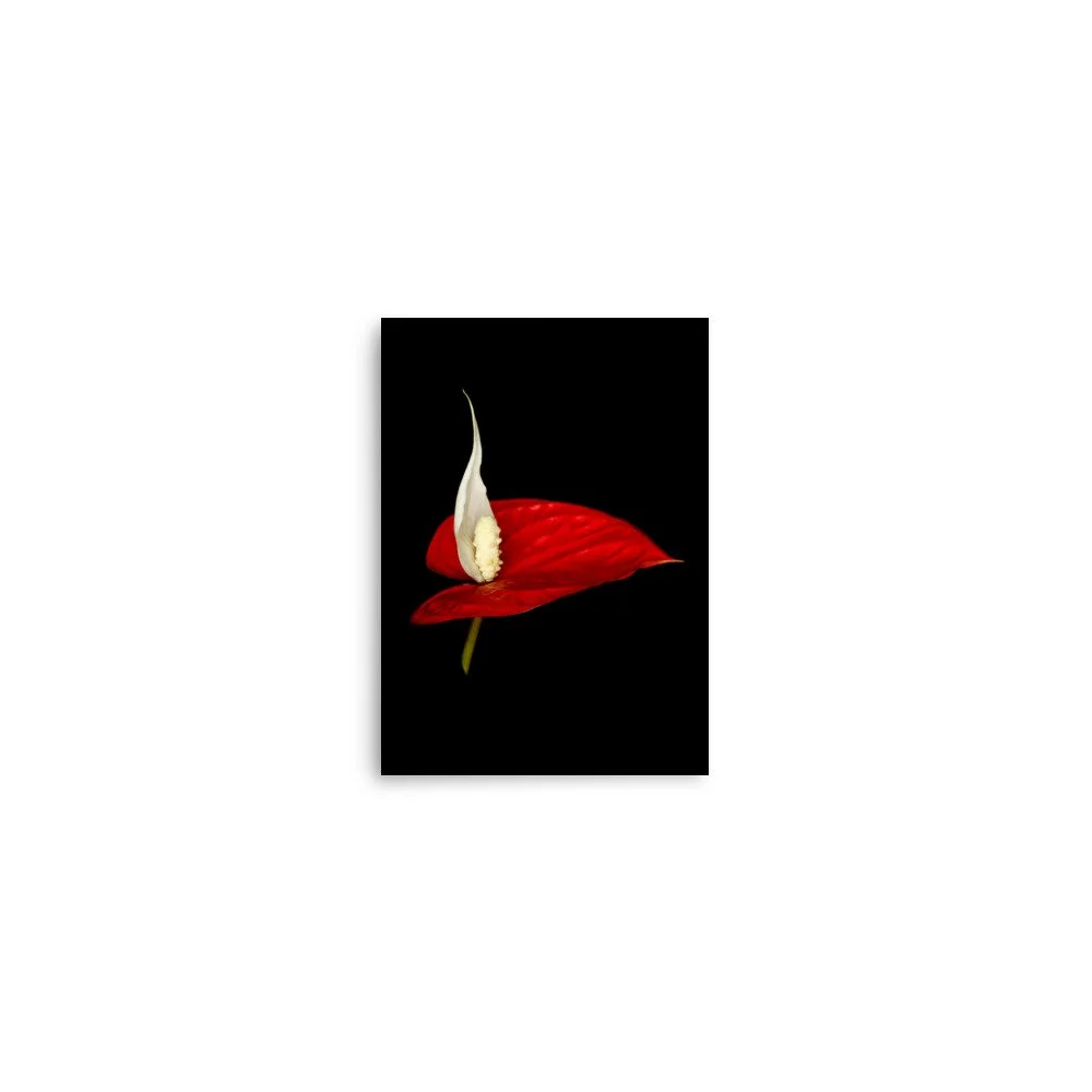 enhanced-matte-paper-poster-(in)-5x7-front-6a788a465c31f.jpg