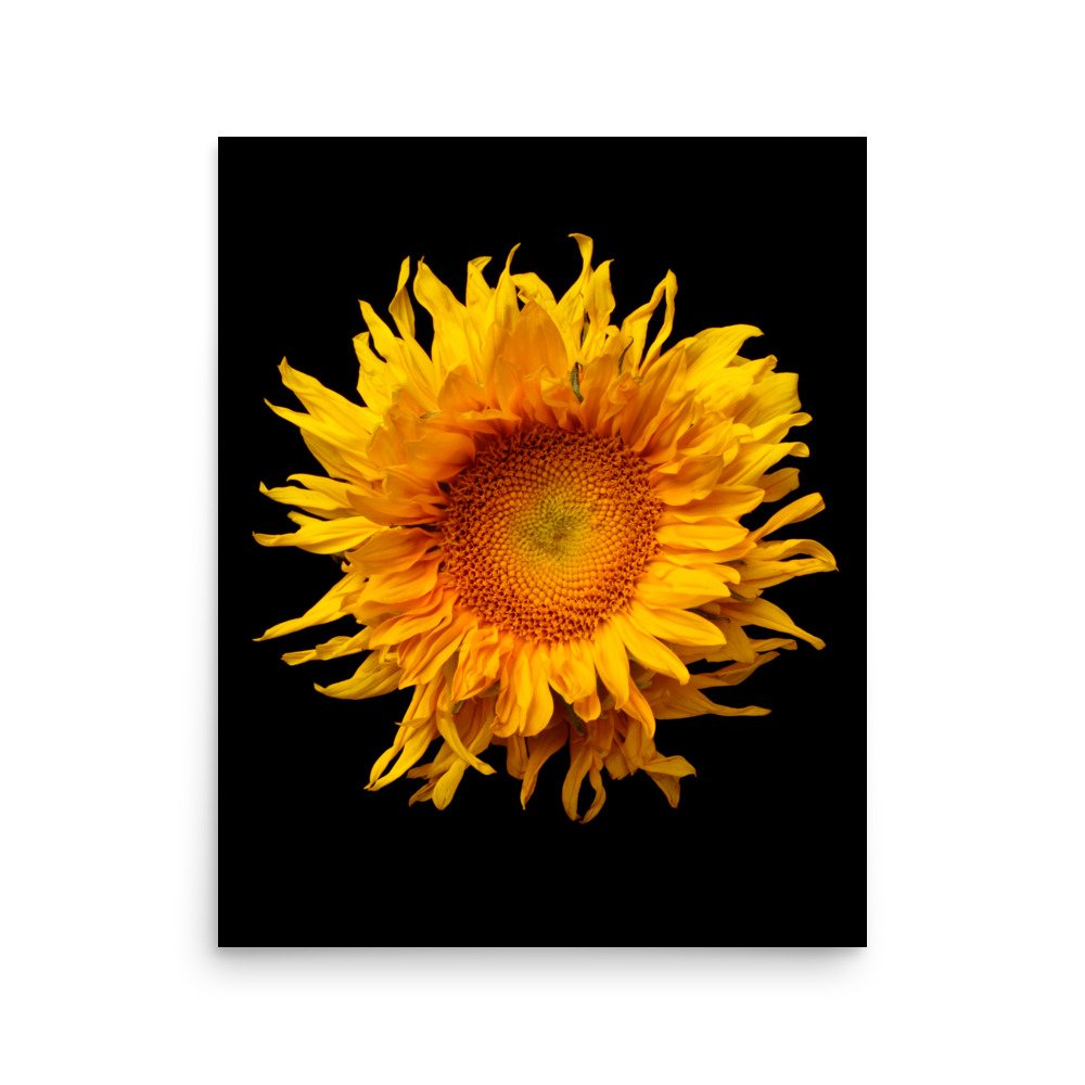 enhanced-matte-paper-poster-(in)-16x20-front-6a78a04f14061.jpg