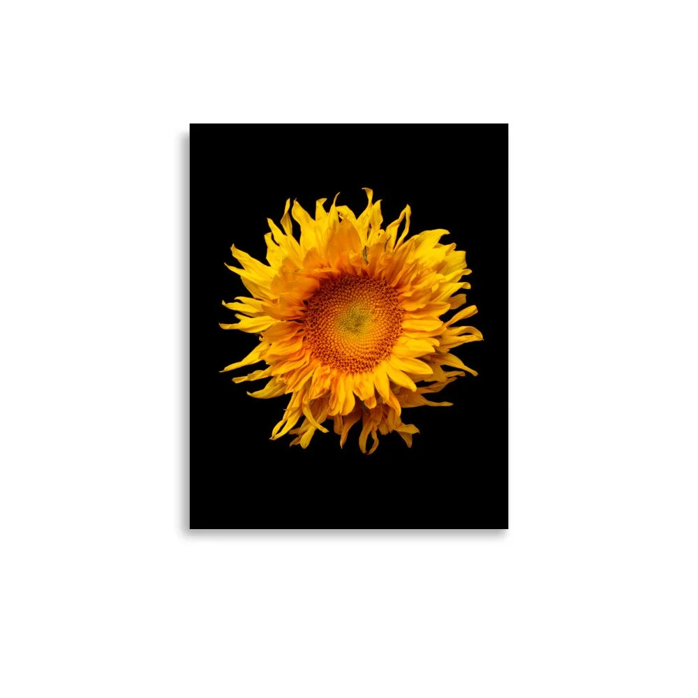 enhanced-matte-paper-poster-(in)-11x14-front-6a78a04f14c34.jpg
