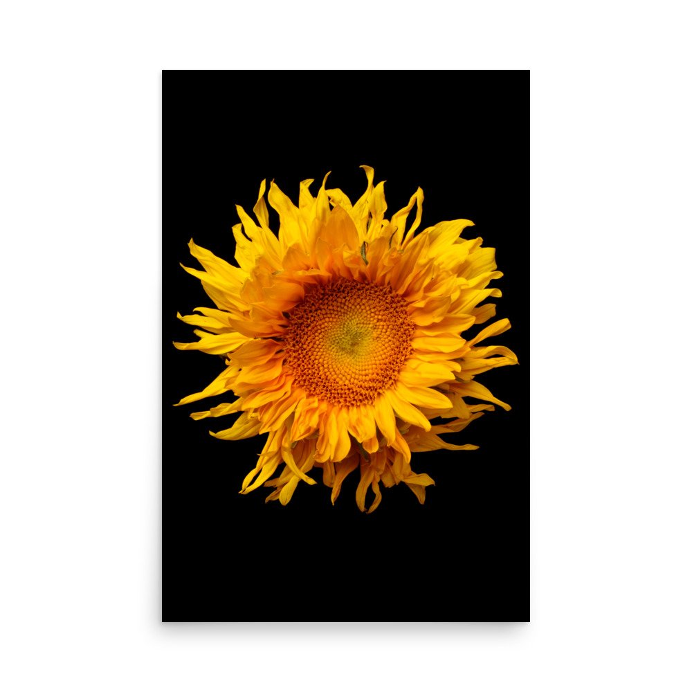 enhanced-matte-paper-poster-(in)-24x36-front-6a78a04f14d0e.jpg