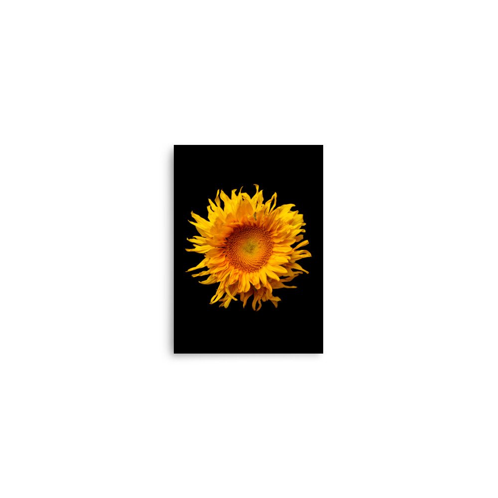 enhanced-matte-paper-poster-(in)-5x7-front-6a78a04f14db4.jpg