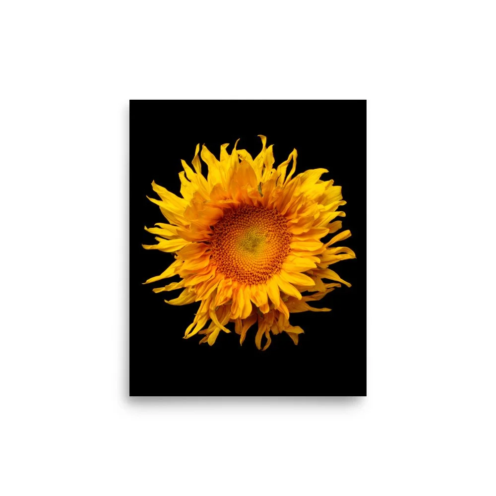enhanced-matte-paper-poster-(in)-8x10-front-6a78a04f14e05.jpg