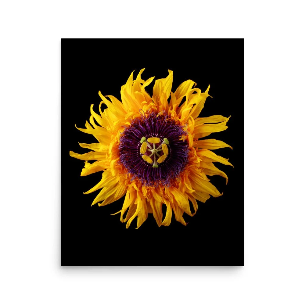 enhanced-matte-paper-poster-(in)-16x20-front-6a78a9bbb1855.jpg