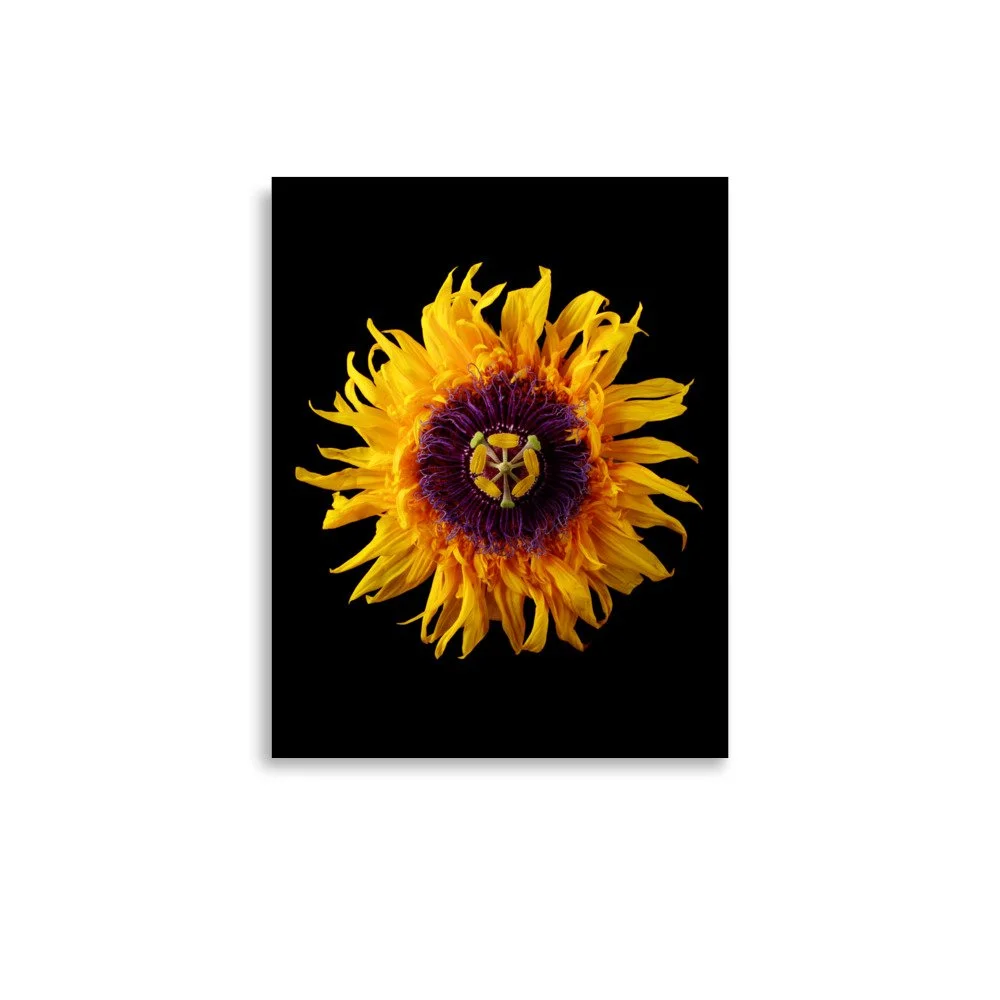enhanced-matte-paper-poster-(in)-11x14-front-6a78a9bbb2093.jpg