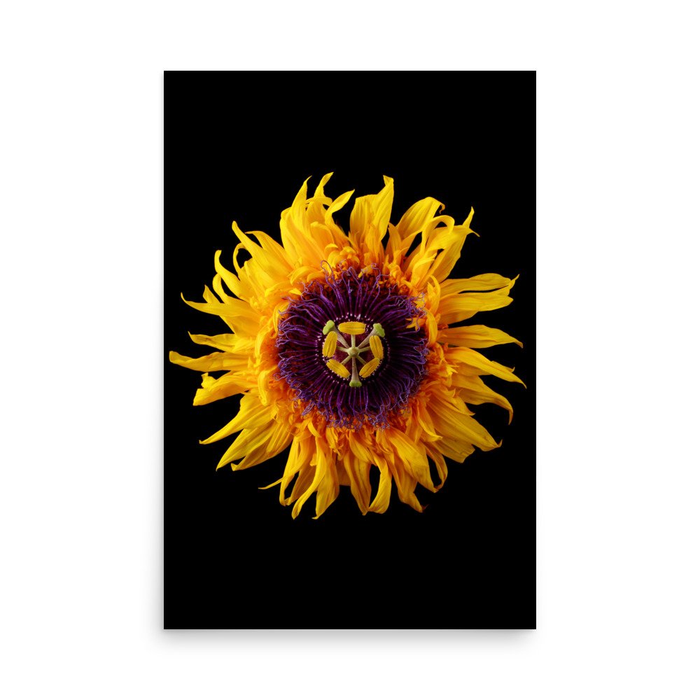 enhanced-matte-paper-poster-(in)-24x36-front-6a78a9bbb2130.jpg