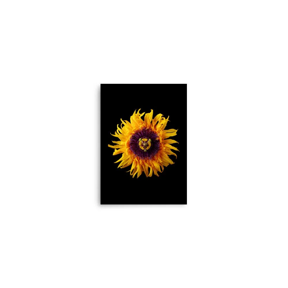enhanced-matte-paper-poster-(in)-5x7-front-6a78a9bbb218c.jpg
