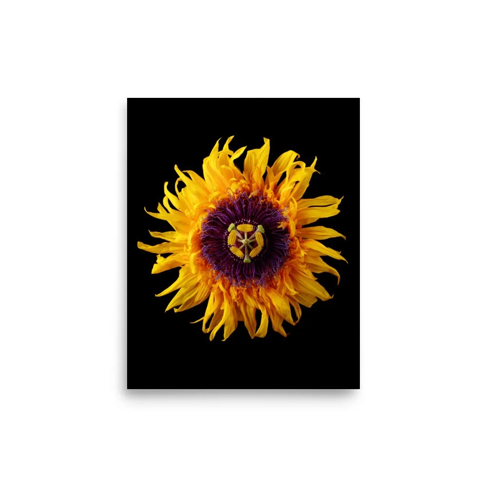 enhanced-matte-paper-poster-(in)-8x10-front-6a78a9bbb21be.jpg