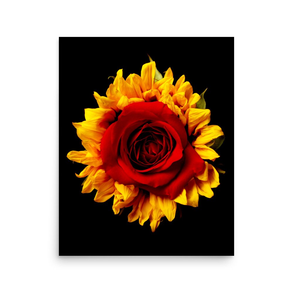 enhanced-matte-paper-poster-(in)-16x20-front-6a78acbccfb1e.jpg
