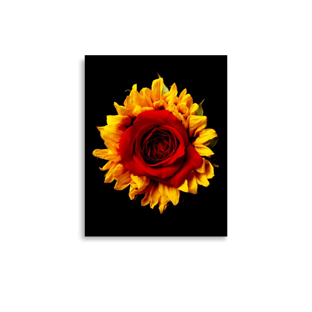 enhanced-matte-paper-poster-(in)-11x14-front-6a78acbcd063a.jpg
