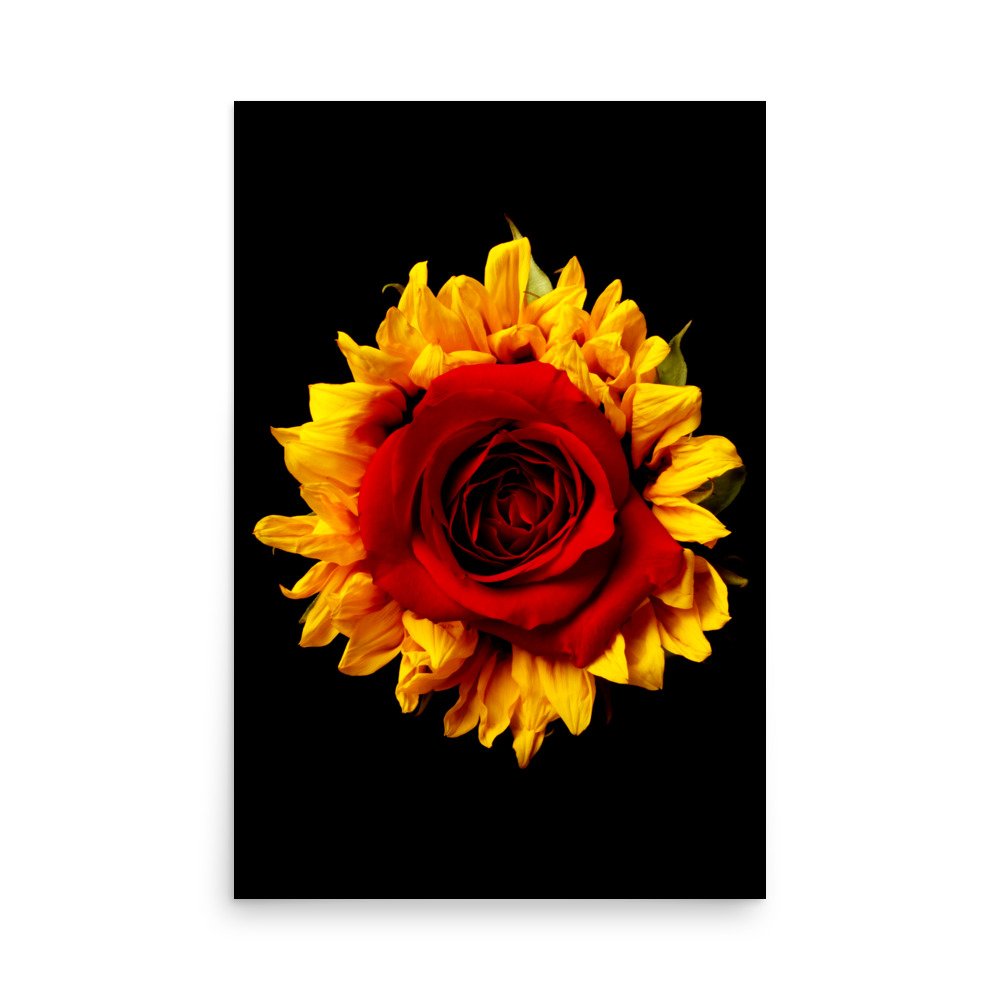 enhanced-matte-paper-poster-(in)-24x36-front-6a78acbcd06c8.jpg