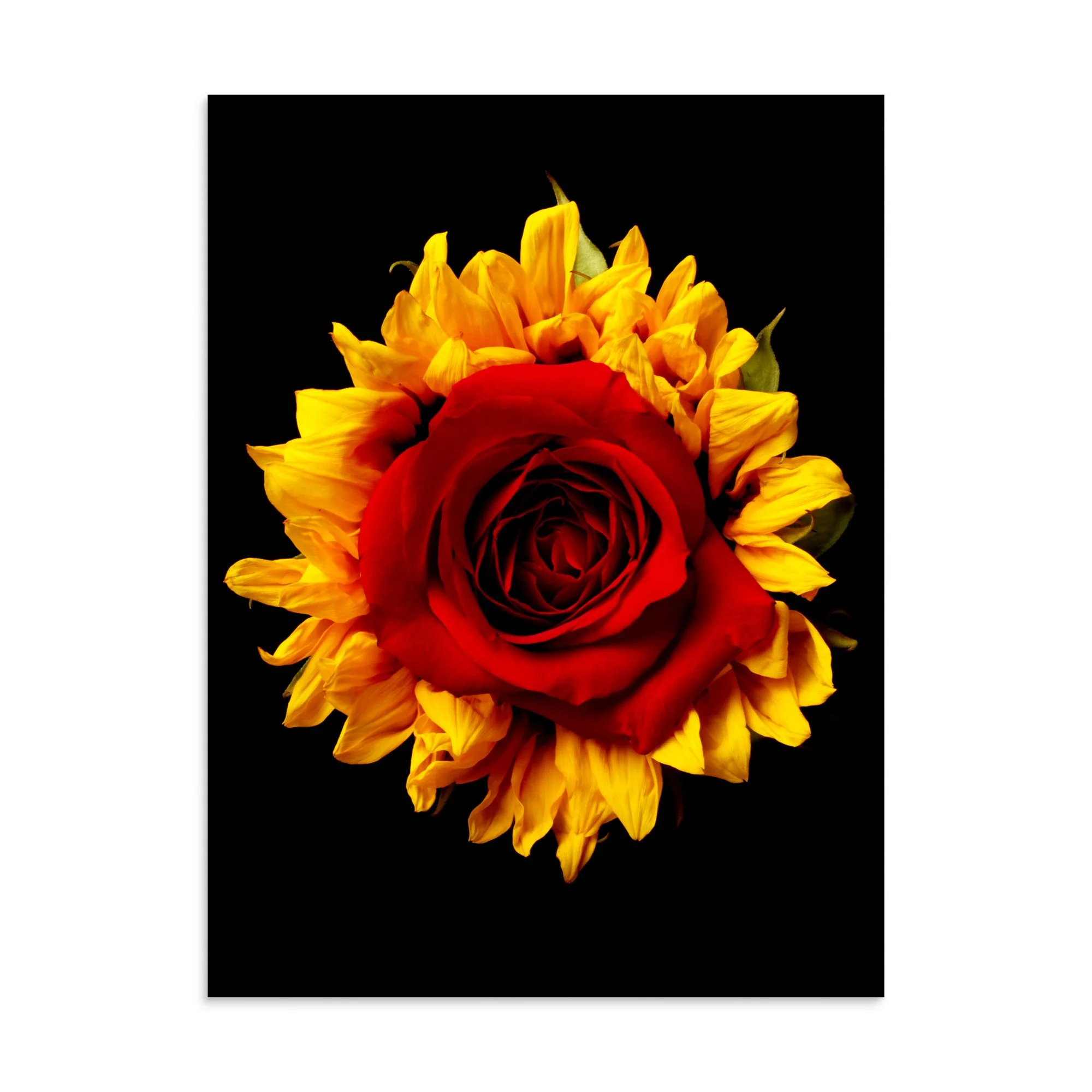 enhanced-matte-paper-poster-(in)-30x40-front-6a78acbcd0710.jpg