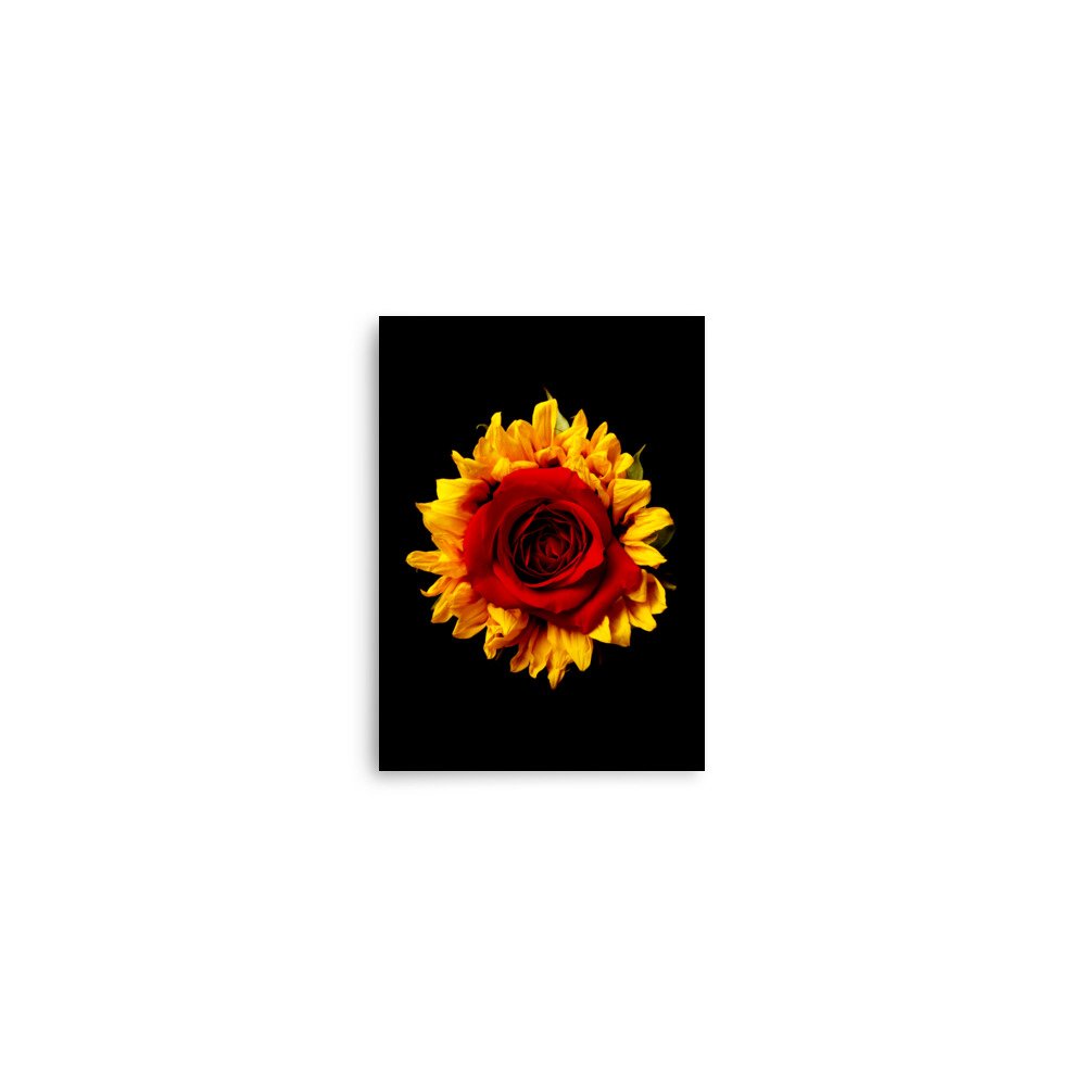 enhanced-matte-paper-poster-(in)-5x7-front-6a78acbcd072f.jpg