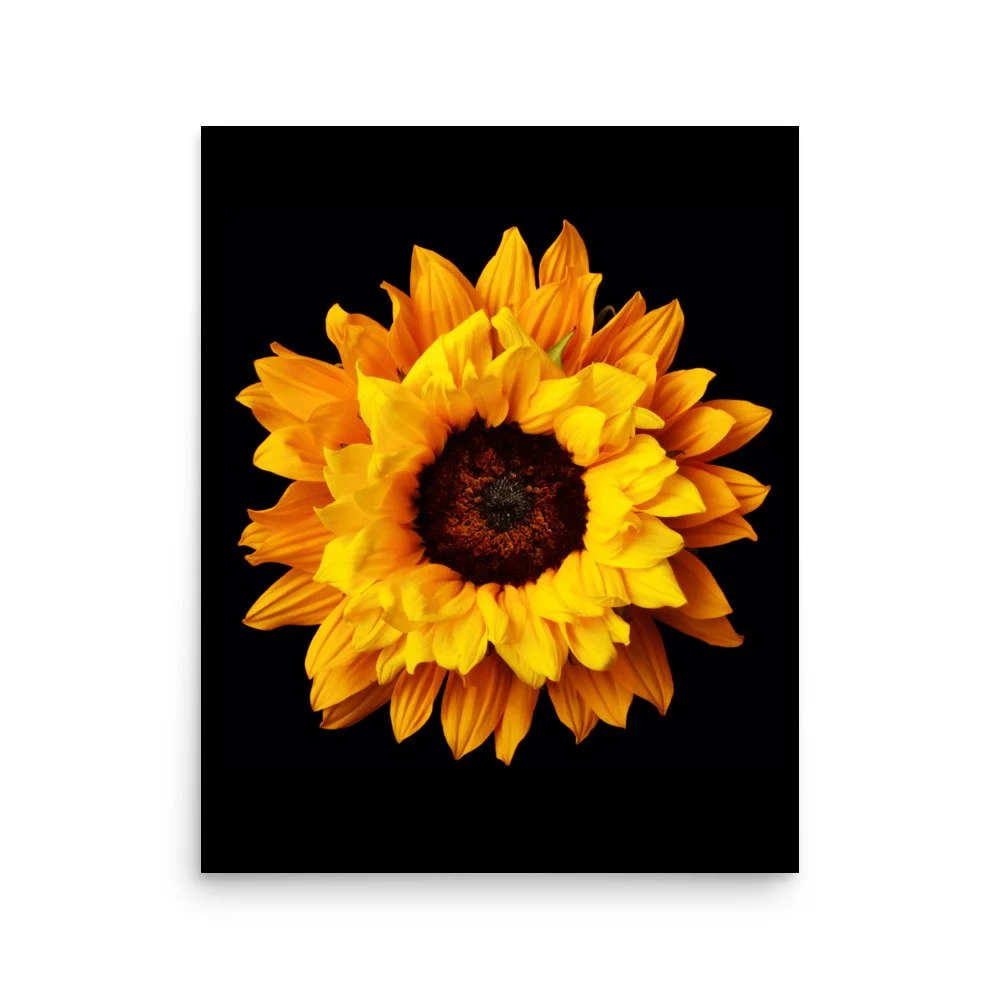 enhanced-matte-paper-poster-(in)-16x20-front-6a78c9673db8f.jpg