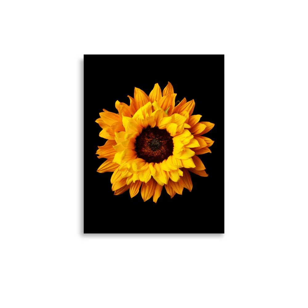 enhanced-matte-paper-poster-(in)-11x14-front-6a78c9673e47b.jpg