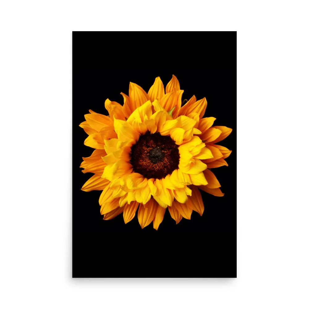 enhanced-matte-paper-poster-(in)-24x36-front-6a78c9673e4f9.jpg