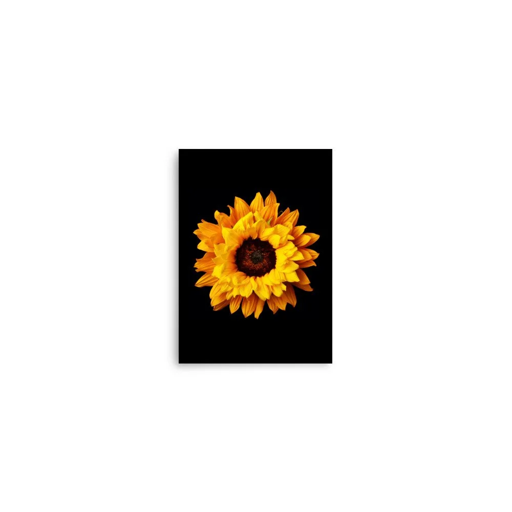 enhanced-matte-paper-poster-(in)-5x7-front-6a78c9673e55c.jpg