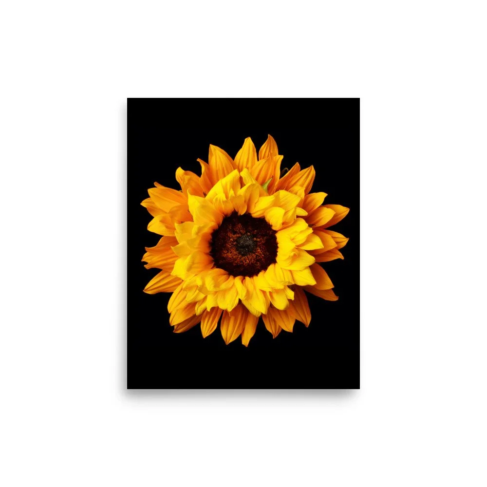 enhanced-matte-paper-poster-(in)-8x10-front-6a78c9673e58f.jpg