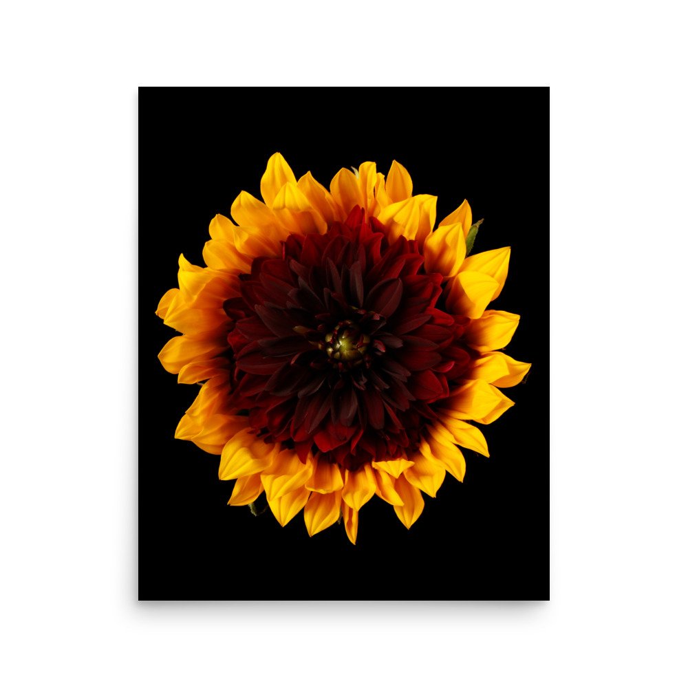 enhanced-matte-paper-poster-(in)-16x20-front-6a78cc14f3215.jpg