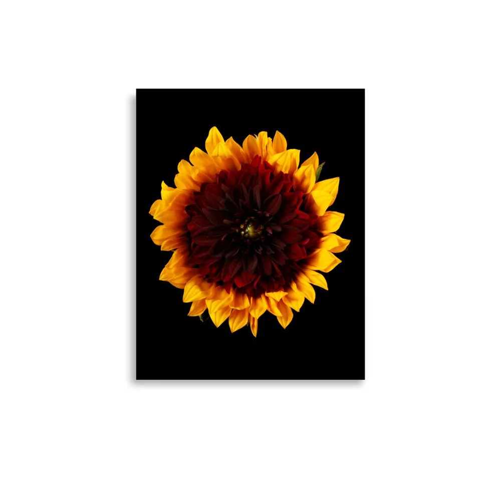 enhanced-matte-paper-poster-(in)-11x14-front-6a78cc14f3ad7.jpg