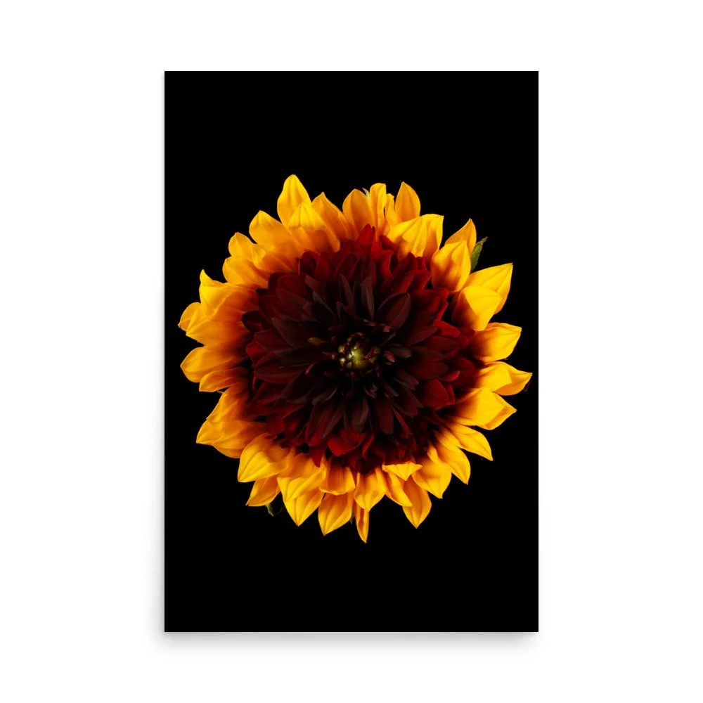 enhanced-matte-paper-poster-(in)-24x36-front-6a78cc14f3b94.jpg