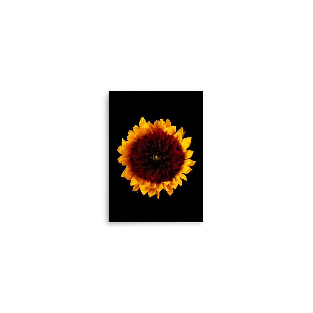 enhanced-matte-paper-poster-(in)-5x7-front-6a78cc14f3c09.jpg