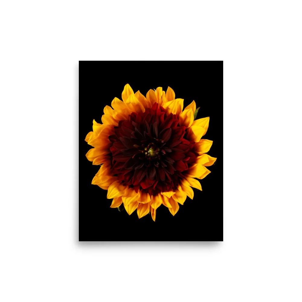 enhanced-matte-paper-poster-(in)-8x10-front-6a78cc14f3c47.jpg