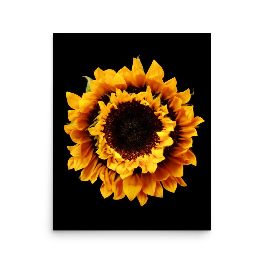 enhanced-matte-paper-poster-(in)-16x20-front-6a78cf05ea30e.jpg