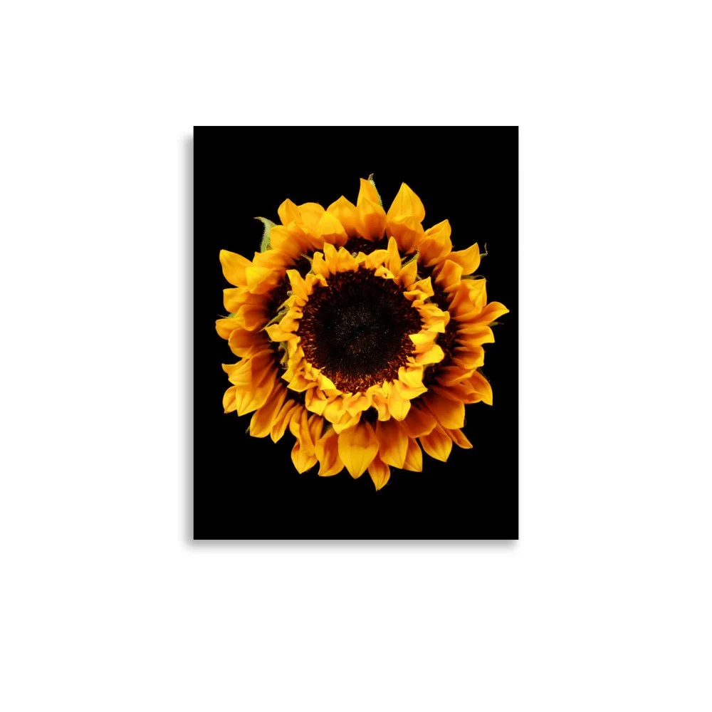 enhanced-matte-paper-poster-(in)-11x14-front-6a78cf05eb089.jpg