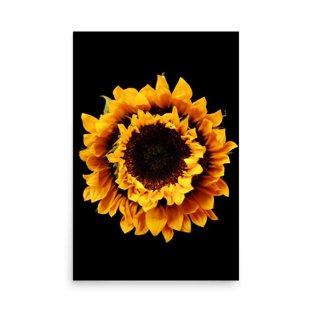 enhanced-matte-paper-poster-(in)-24x36-front-6a78cf05eb131.jpg