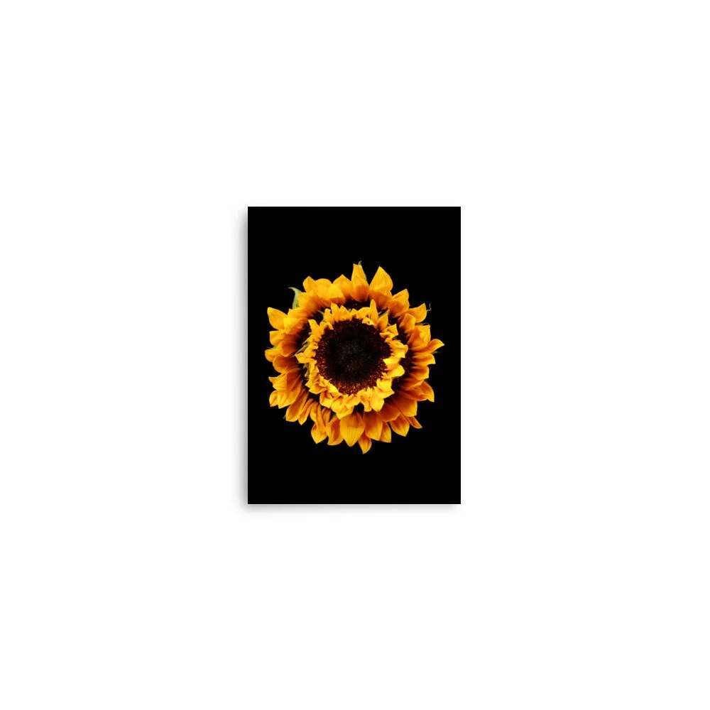 enhanced-matte-paper-poster-(in)-5x7-front-6a78cf05eb19c.jpg