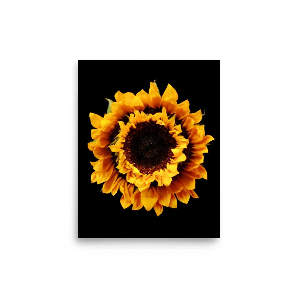 enhanced-matte-paper-poster-(in)-8x10-front-6a78cf05eb1d8.jpg