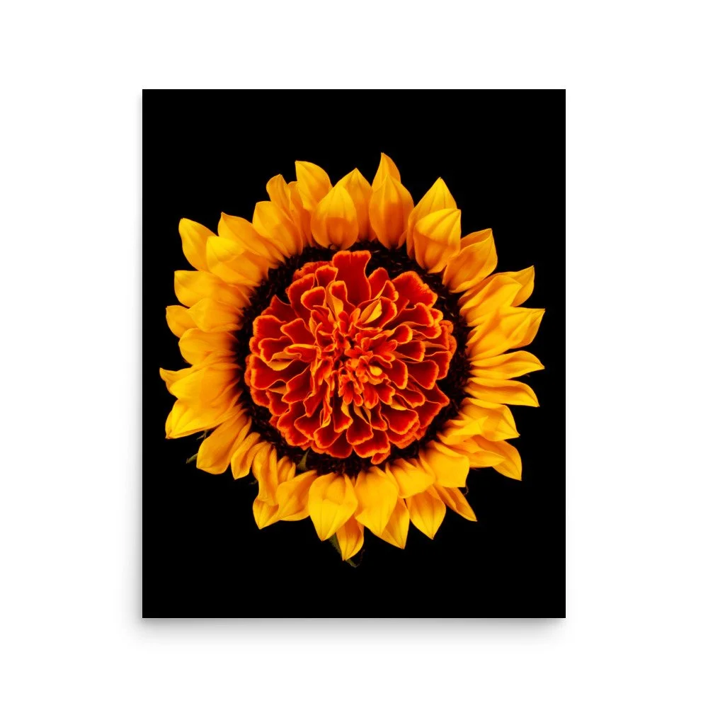 enhanced-matte-paper-poster-(in)-16x20-front-6a78e1776a754.jpg