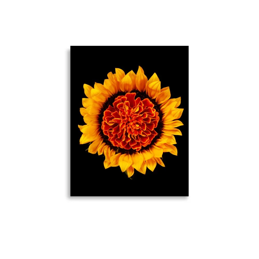 enhanced-matte-paper-poster-(in)-11x14-front-6a78e1776b349.jpg