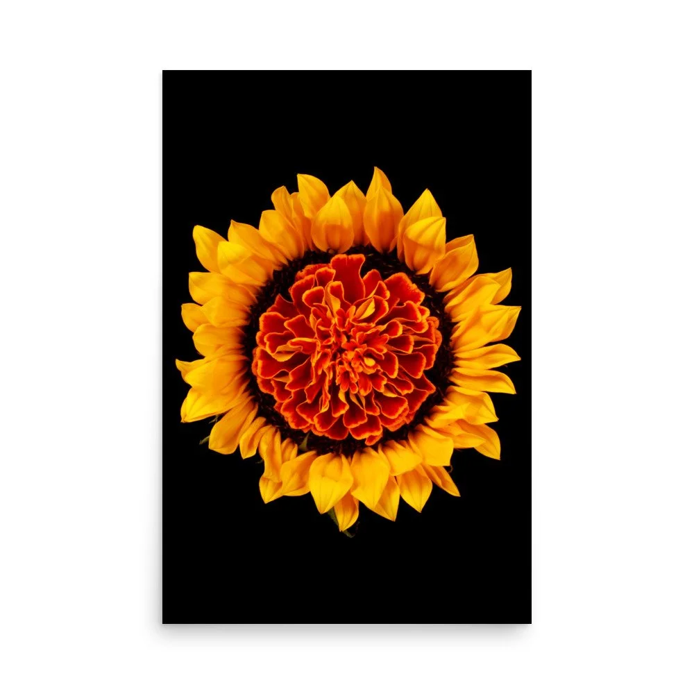 enhanced-matte-paper-poster-(in)-24x36-front-6a78e1776b3c3.jpg