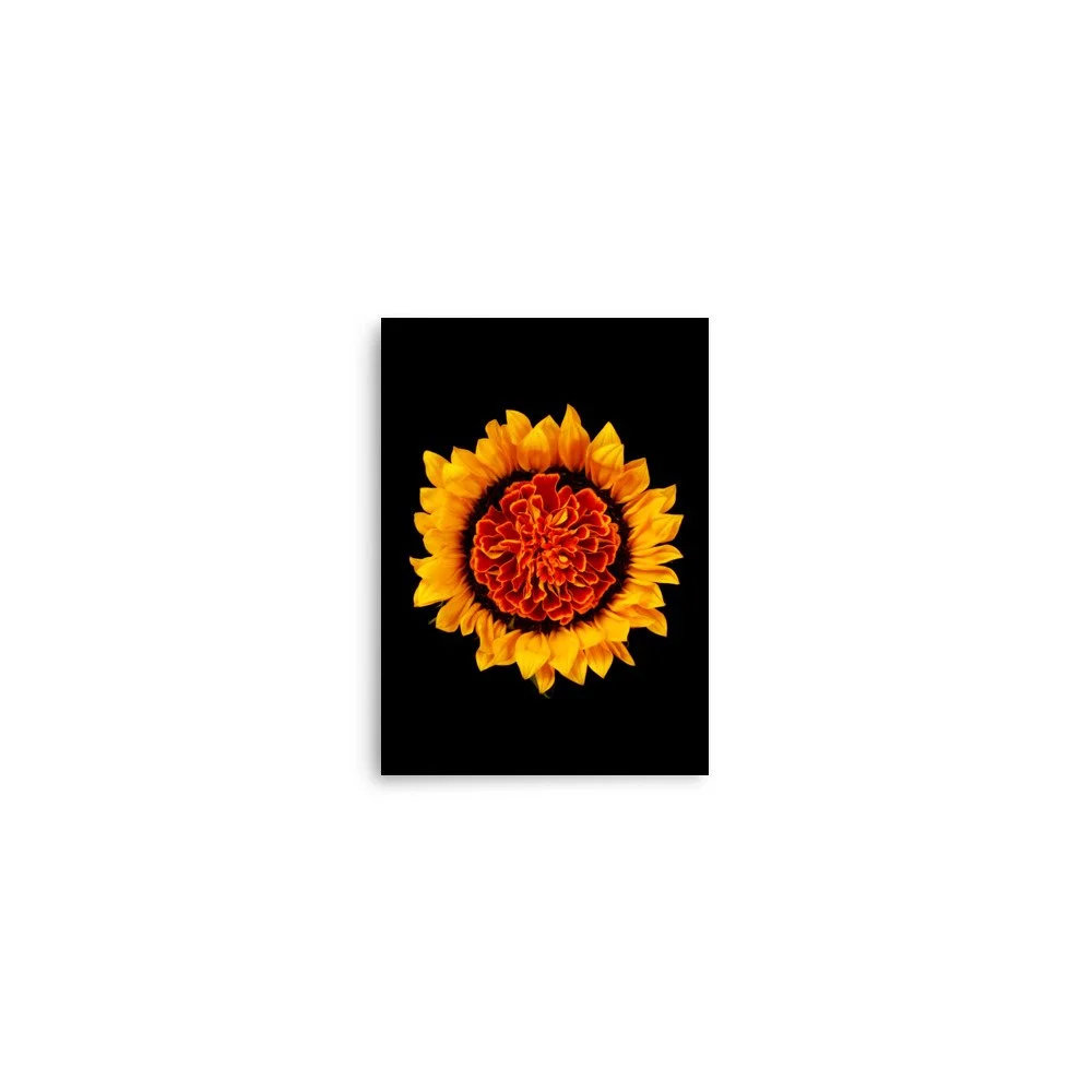 enhanced-matte-paper-poster-(in)-5x7-front-6a78e1776b42a.jpg