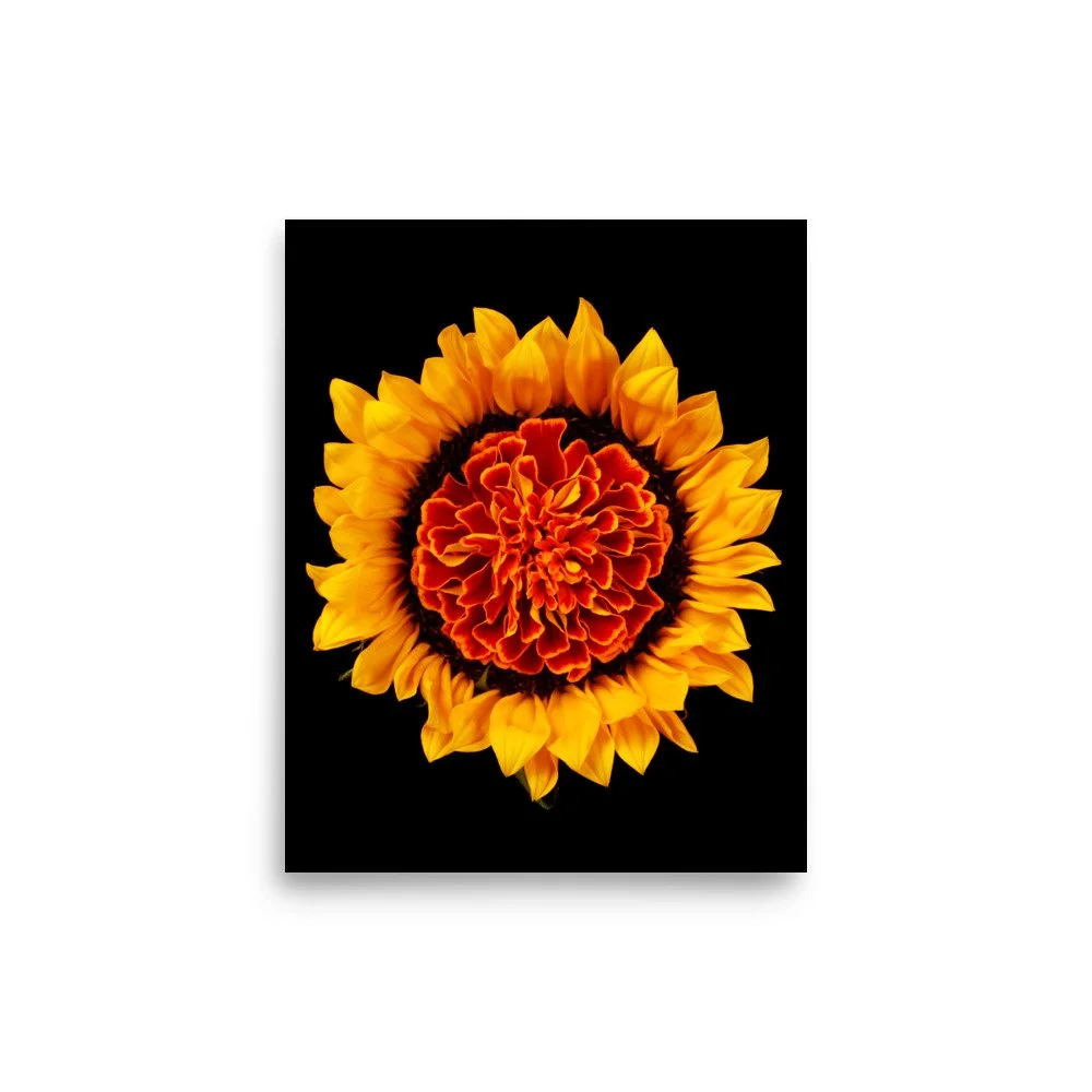 enhanced-matte-paper-poster-(in)-8x10-front-6a78e1776b45e.jpg