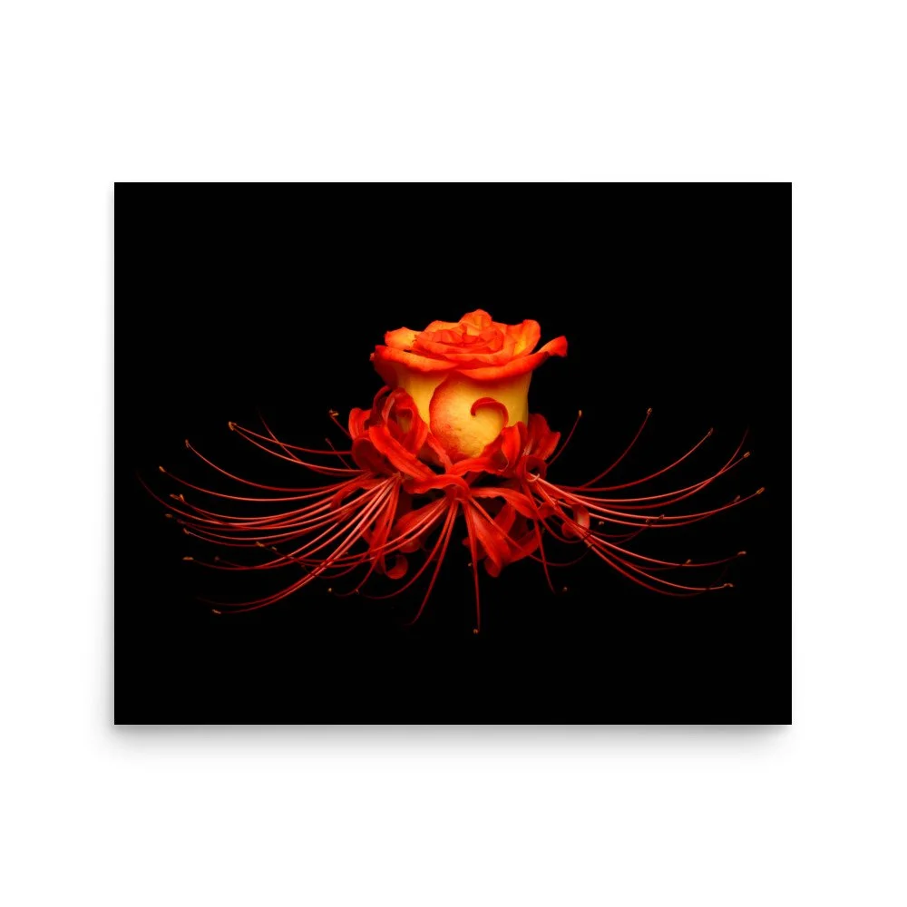 enhanced-matte-paper-poster-(in)-16x20-front-6a78f9d80a8db.jpg