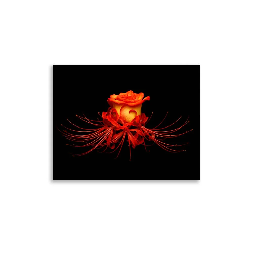enhanced-matte-paper-poster-(in)-11x14-front-6a78f9d80b64c.jpg