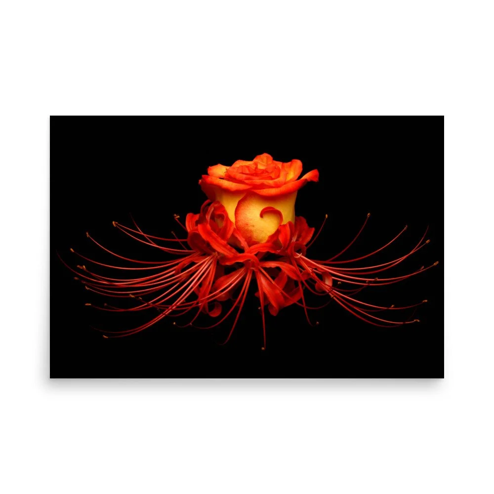 enhanced-matte-paper-poster-(in)-24x36-front-6a78f9d80b6cf.jpg