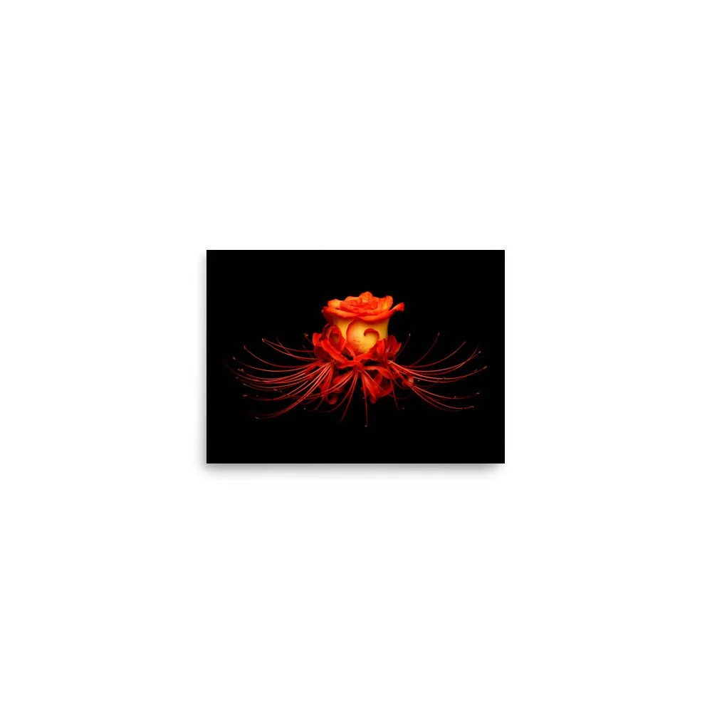enhanced-matte-paper-poster-(in)-5x7-front-6a78f9d80b731.jpg