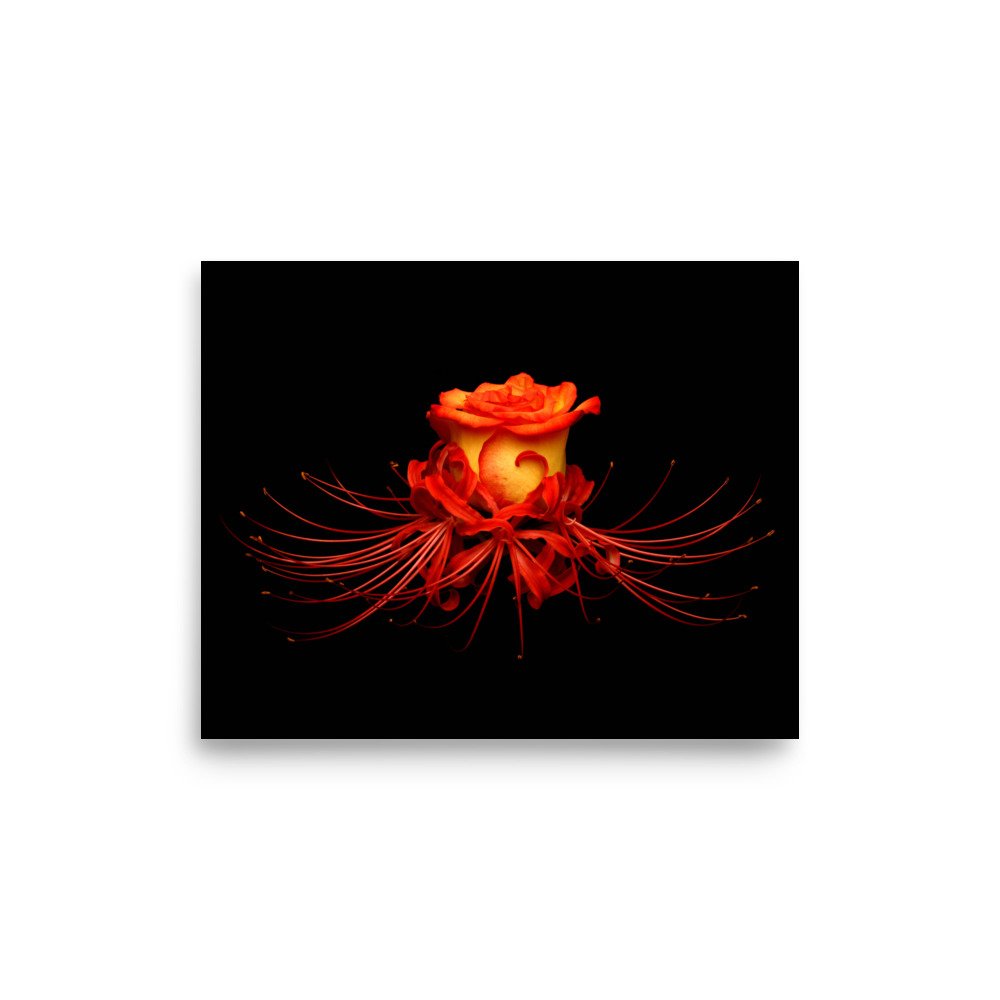 enhanced-matte-paper-poster-(in)-8x10-front-6a78f9d80b766.jpg