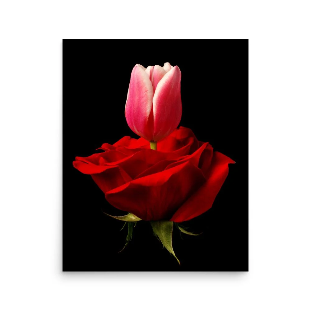 enhanced-matte-paper-poster-(in)-16x20-front-6a7900f2800e2.jpg