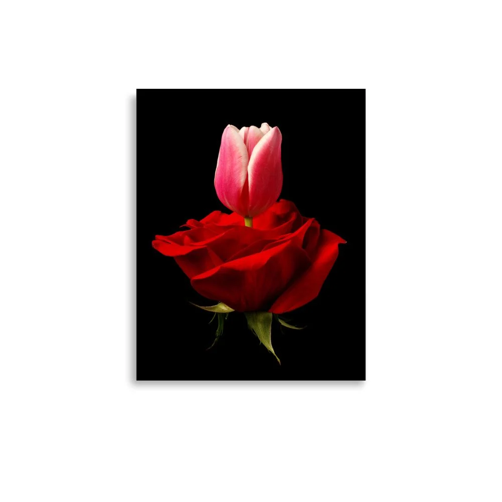 enhanced-matte-paper-poster-(in)-11x14-front-6a7900f280c29.jpg